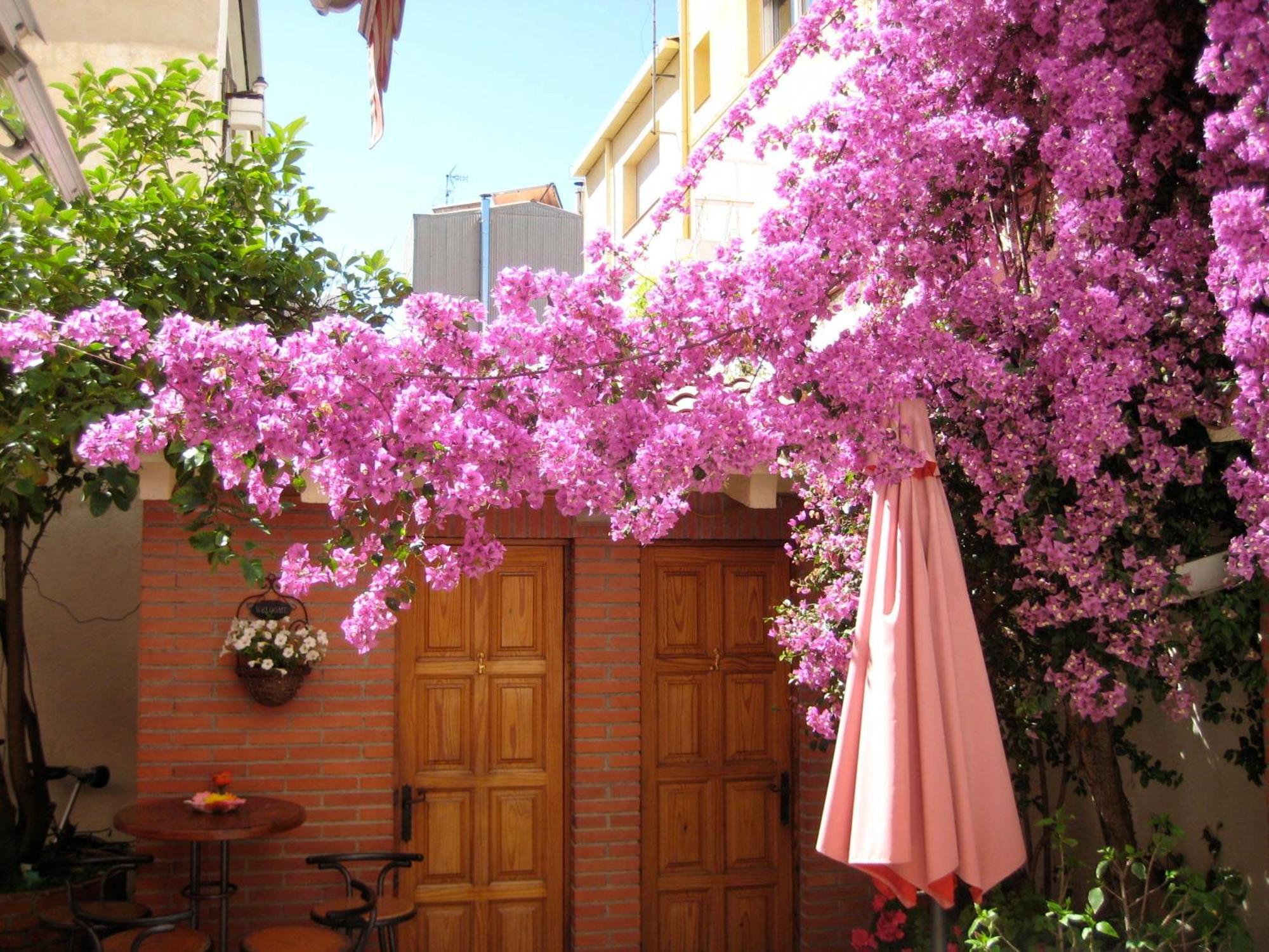 Pension Casa Austria Calella Bagian luar foto